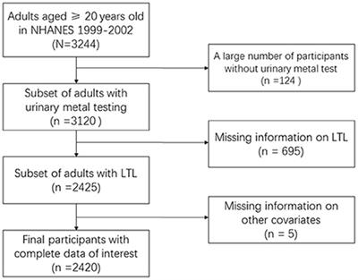 Association between urinary metals and leukocyte telomere length involving an artificial neural network prediction: Findings based on NHANES 1999–2002